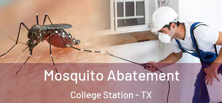  Mosquito Abatement College Station - TX