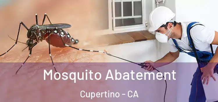 Mosquito Abatement Cupertino - CA