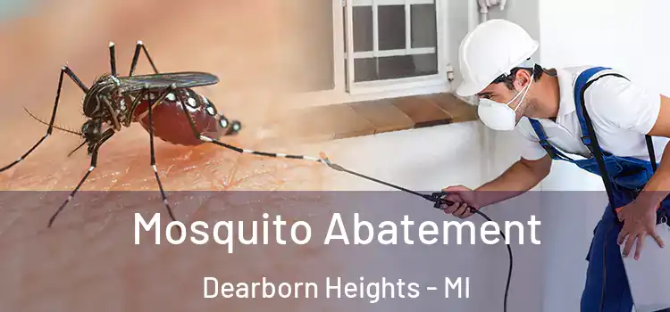 Mosquito Abatement Dearborn Heights - MI