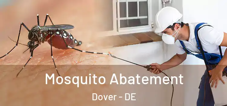 Mosquito Abatement Dover - DE