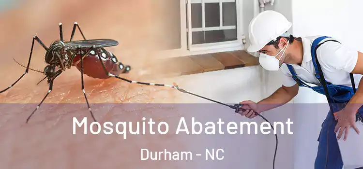 Mosquito Abatement Durham - NC