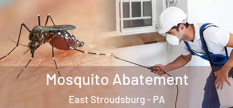  Mosquito Abatement East Stroudsburg - PA