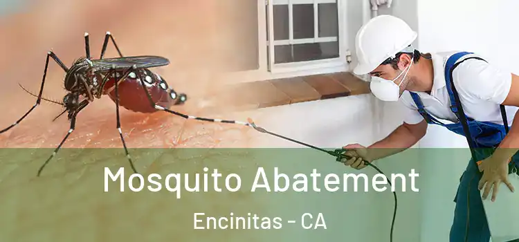 Mosquito Abatement Encinitas - CA