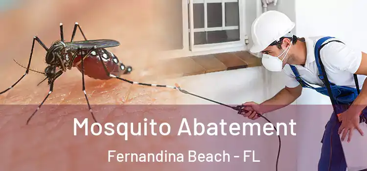Mosquito Abatement Fernandina Beach - FL