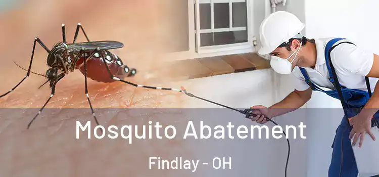 Mosquito Abatement Findlay - OH