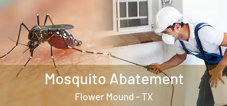 Mosquito Abatement Flower Mound - TX