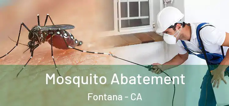  Mosquito Abatement Fontana - CA