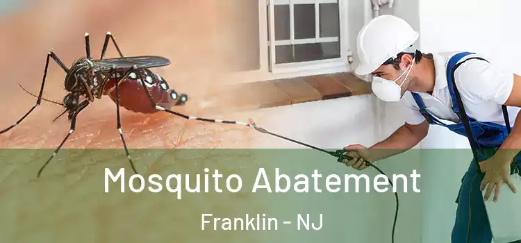  Mosquito Abatement Franklin - NJ