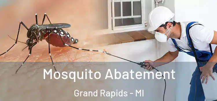 Mosquito Abatement Grand Rapids - MI