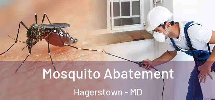 Mosquito Abatement Hagerstown - MD