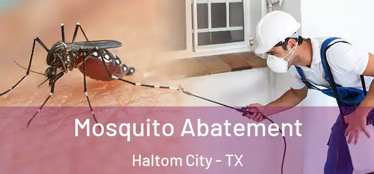  Mosquito Abatement Haltom City - TX