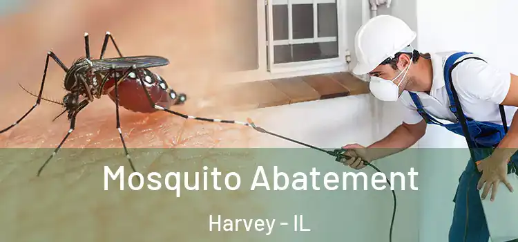 Mosquito Abatement Harvey - IL