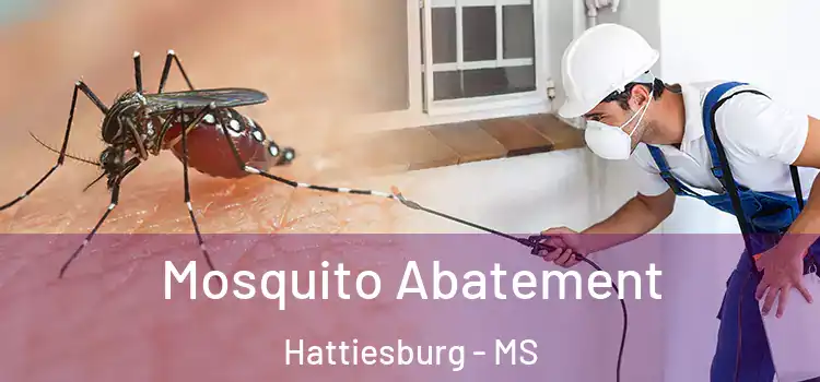 Mosquito Abatement Hattiesburg - MS