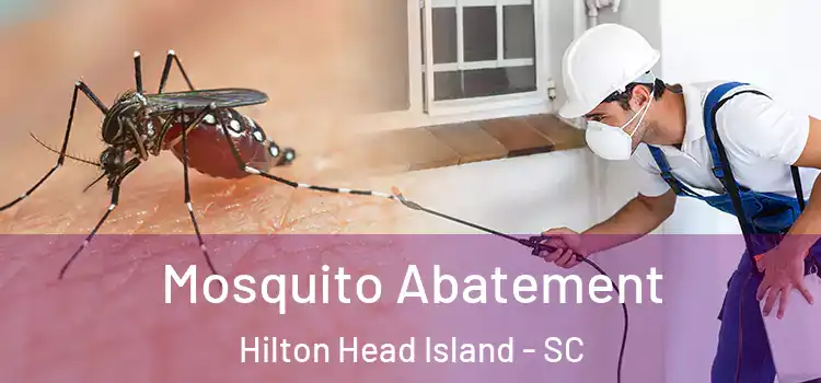  Mosquito Abatement Hilton Head Island - SC