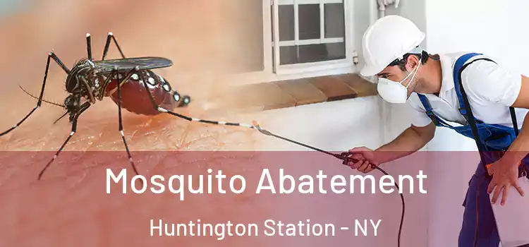  Mosquito Abatement Huntington Station - NY