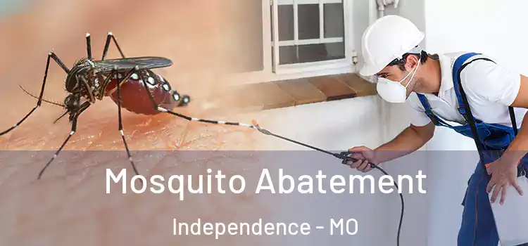 Mosquito Abatement Independence - MO