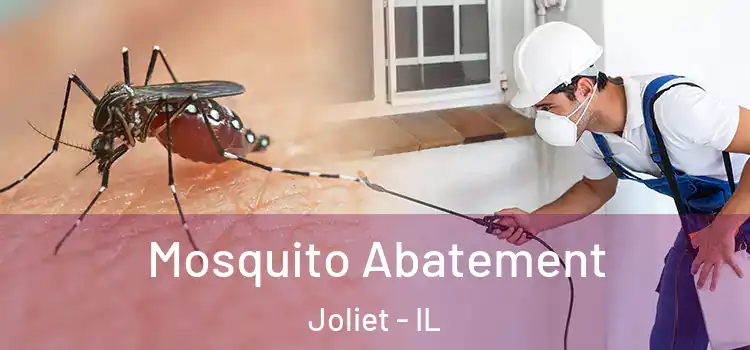 Mosquito Abatement Joliet - IL