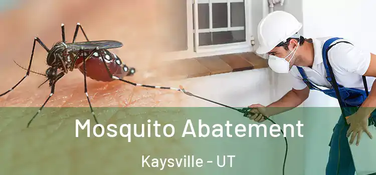  Mosquito Abatement Kaysville - UT