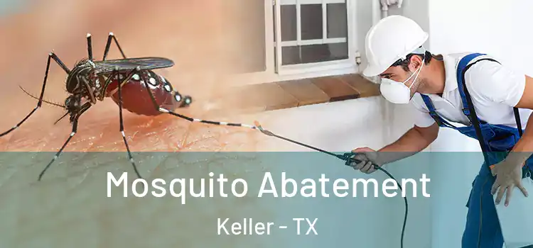  Mosquito Abatement Keller - TX