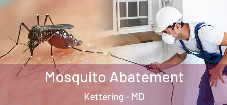 Mosquito Abatement Kettering - MD