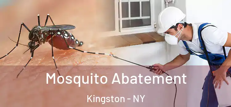  Mosquito Abatement Kingston - NY