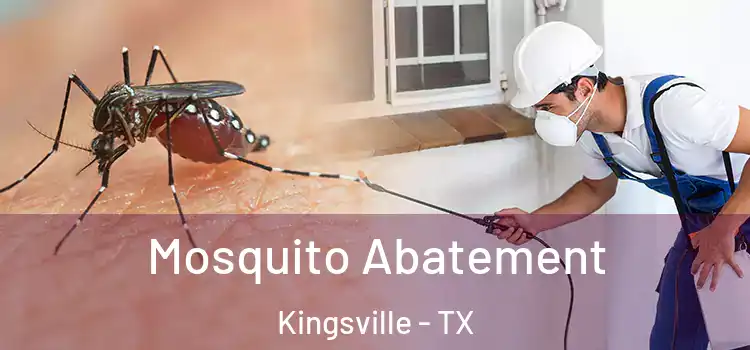  Mosquito Abatement Kingsville - TX