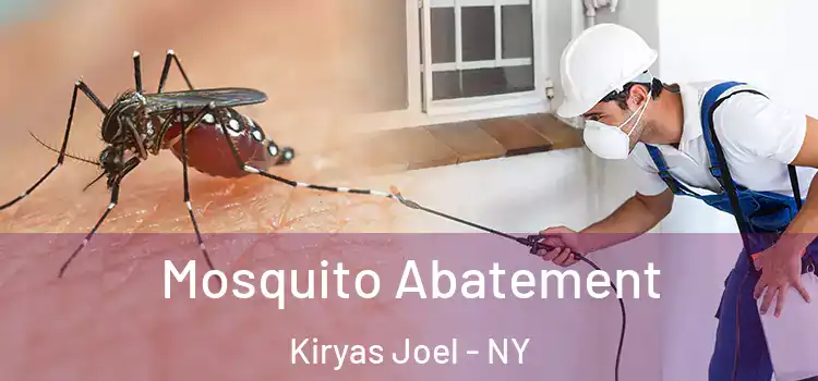  Mosquito Abatement Kiryas Joel - NY