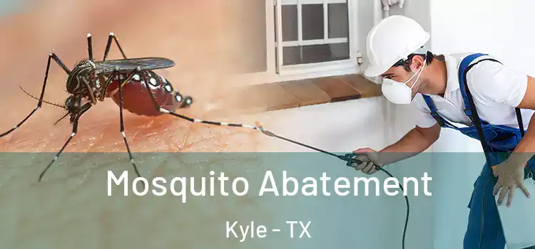  Mosquito Abatement Kyle - TX