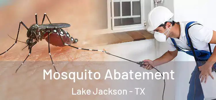  Mosquito Abatement Lake Jackson - TX