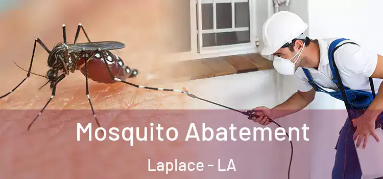 Mosquito Abatement Laplace - LA