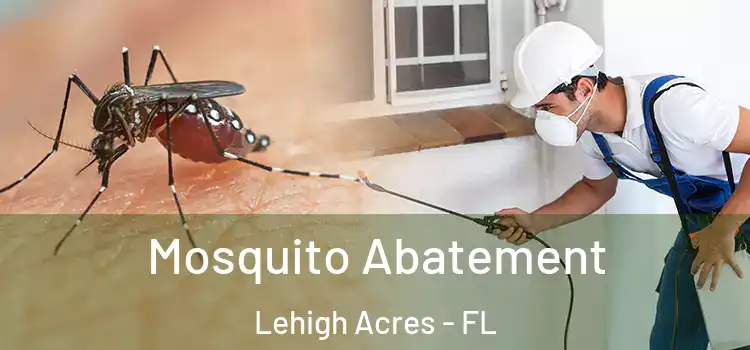 Mosquito Abatement Lehigh Acres - FL
