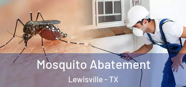  Mosquito Abatement Lewisville - TX