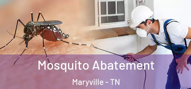 Mosquito Abatement Maryville - TN