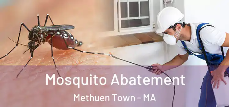  Mosquito Abatement Methuen Town - MA