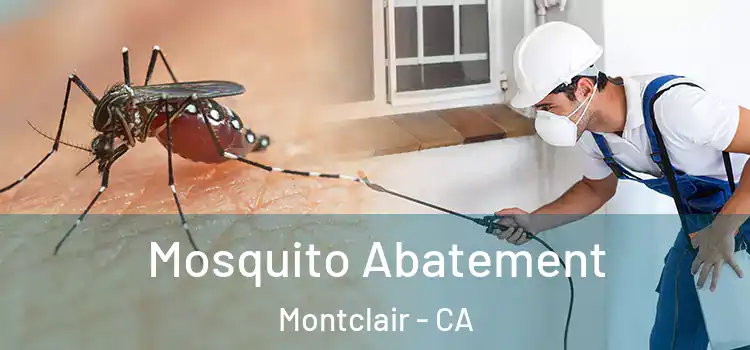 Mosquito Abatement Montclair - CA