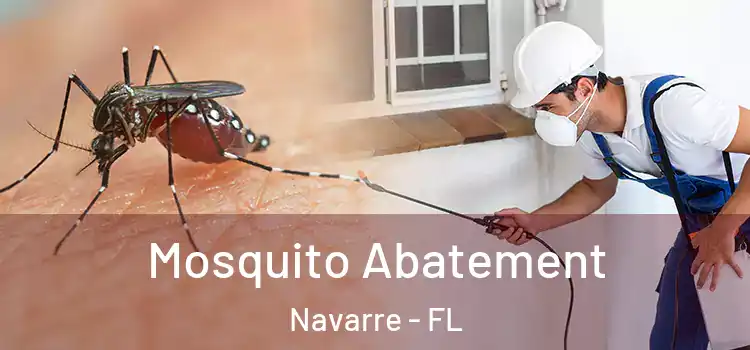  Mosquito Abatement Navarre - FL