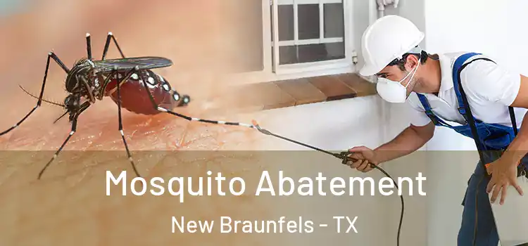  Mosquito Abatement New Braunfels - TX
