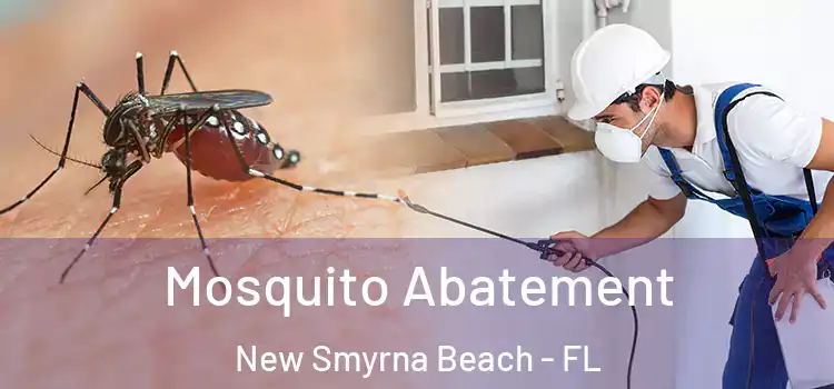 Mosquito Abatement New Smyrna Beach - FL