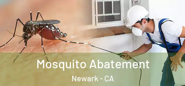 Mosquito Abatement Newark - CA