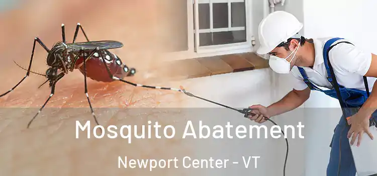  Mosquito Abatement Newport Center - VT