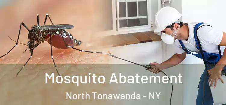 Mosquito Abatement North Tonawanda - NY