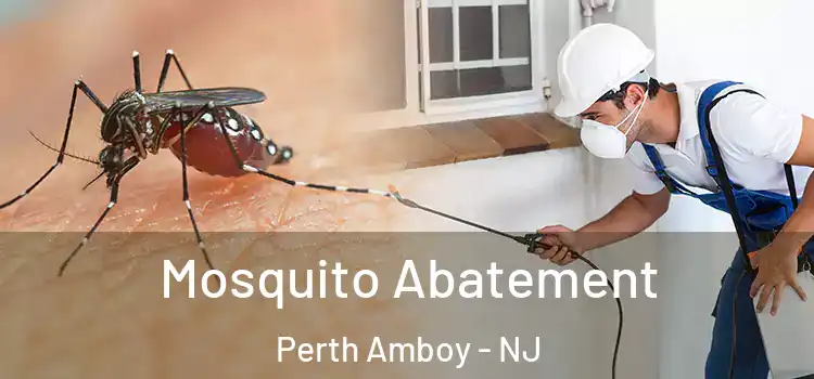 Mosquito Abatement Perth Amboy - NJ
