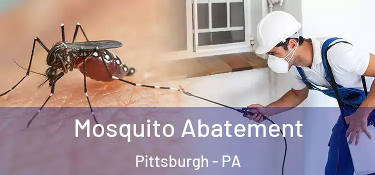  Mosquito Abatement Pittsburgh - PA