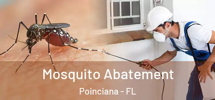 Mosquito Abatement Poinciana - FL