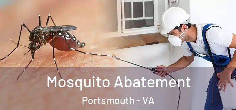 Mosquito Abatement Portsmouth - VA