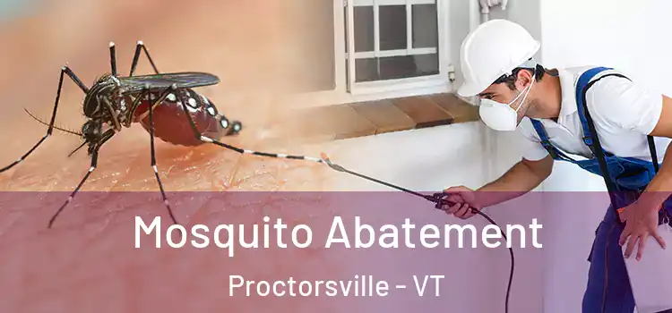  Mosquito Abatement Proctorsville - VT