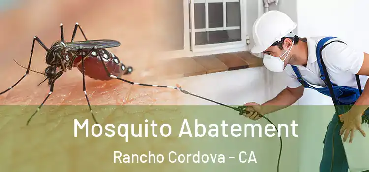  Mosquito Abatement Rancho Cordova - CA