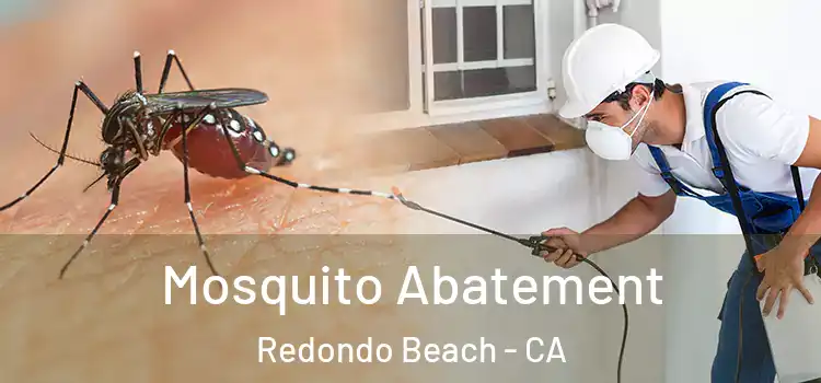  Mosquito Abatement Redondo Beach - CA
