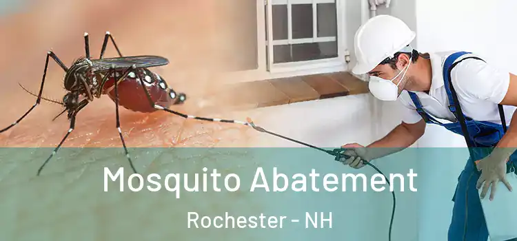 Mosquito Abatement Rochester - NH