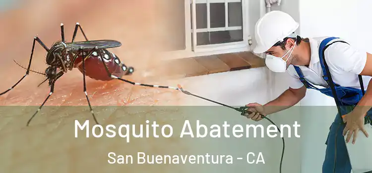  Mosquito Abatement San Buenaventura - CA